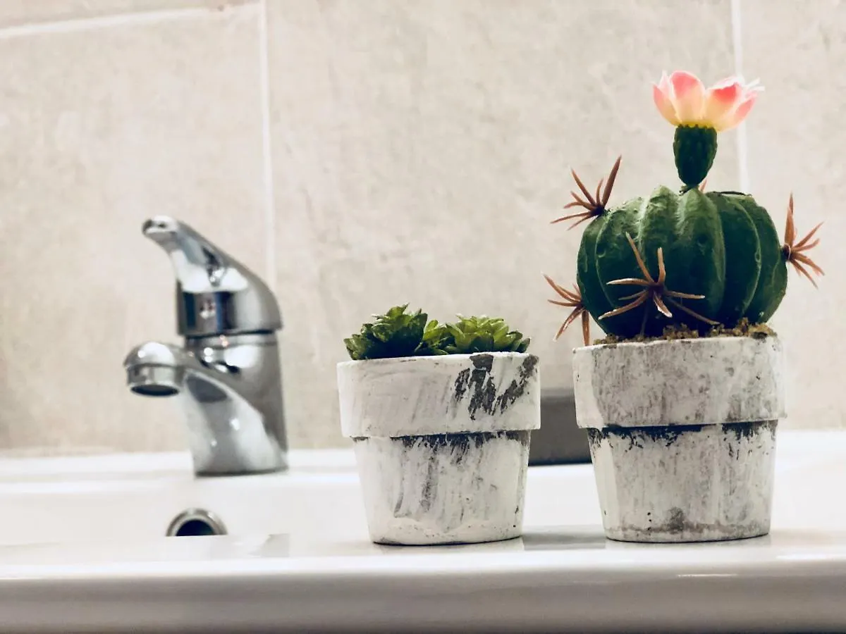 Διαμέρισμα Cactus Lodge Κοραλέχο Ισπανία